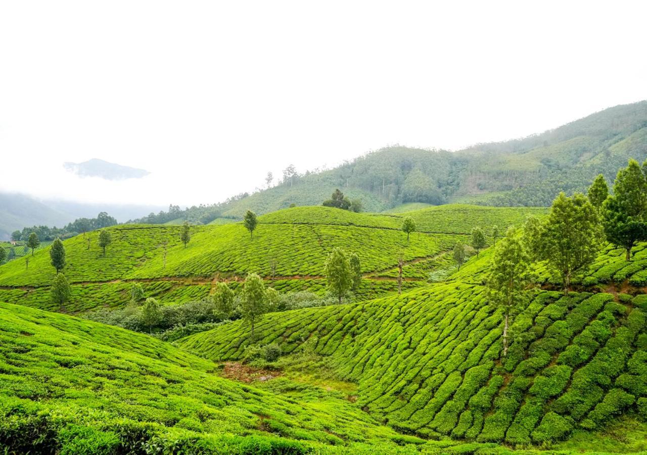 Arivikad Tea Bungalow Munnar By Voye Homes Suryanelli Dış mekan fotoğraf